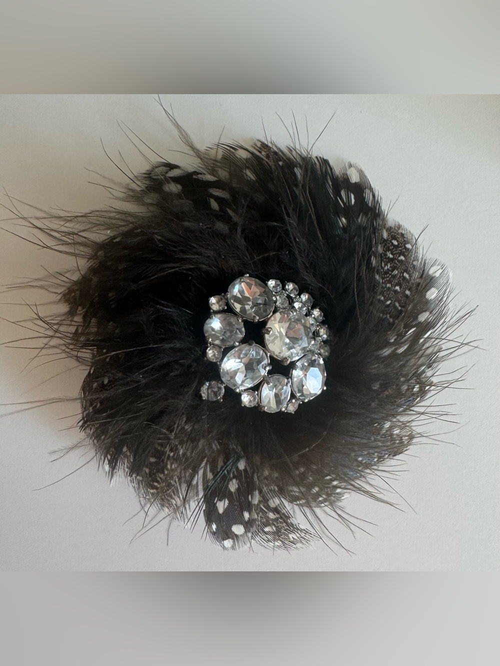 Stella & Dot LaCoco Plume Feather Rhinestone Brooch Pin Retired Statement